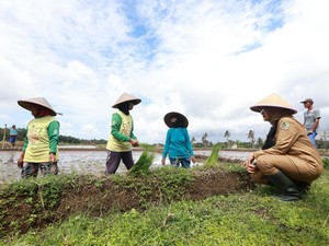 Salut! Petani Banyuwangi Ini Sukses Terapkan Sistem Pertanian Terpadu