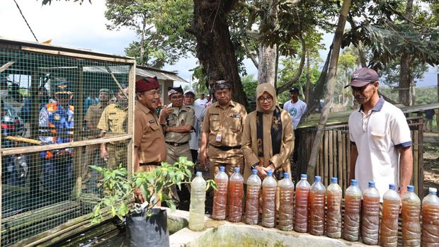pertanian terintegrasi banyuwangi