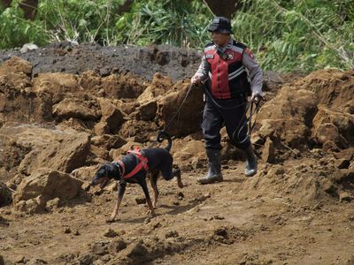 Polisi Kerahkan Anjing Pelacak Cari Korban Tanah Longsor di Lumajang