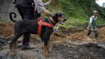 Polisi Kerahkan Anjing Pelacak Cari Korban Tanah Longsor di Lumajang