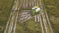 Foto udara petani memanen padi dengan mesin Combine Harvester di Desa Cialam, Konawe Selatan, Sulawesi Tenggara, Rabu (5/6/2024).