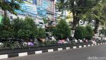 Jijik! Ini Penampakan Gunung Sampah di Gejayan Jogja