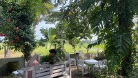 Ali telah lama hidup di Eropa. Dunia pariwisata bukan sesuatu yang awam baginya. Tungku api tradisional yang kini ada di Kopi Wongso adalah favoritnya sejak dulu. Pemilihan lokasi Kopi Wongso yang berseberangan langsung dengan sawah semata karena Ali suka dengan alam.