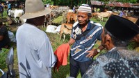 Pedagang dan pembeli ternak bernegosiasi harga dengan tradisi Marosok di Pasar Ternak Sungai Sariak, Padang Pariaman, Sumatera Barat, Rabu (5/6/2024).