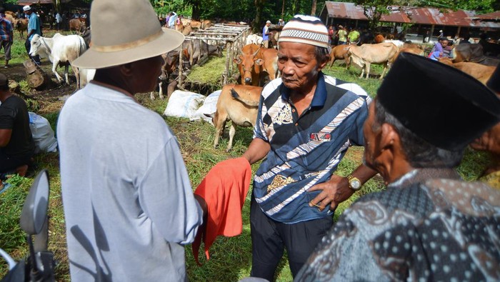 Tradisi Marosok saat transaksi ternak di Padang Pariaman Pedagang dan pembeli ternak bernegosiasi harga menggunakan jari di balik kain di Pasar Ternak Sungai Sariak, Padang Pariaman, Sumatera Barat, Rabu (5/6/2024). Negosiasi harga di balik kain yang disebut