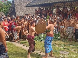 Masyarakat-Wisatawan Antusias Saksikan Tradisi Perang Pandan di Karangasem