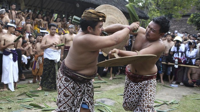 Aksi Berani Pria di Bali Ikut Perang Pandan Berduri A man helps remove pandanus thorns from his friend wounds during ritual called 'Mekare-kare' pandanus war at Tenganan village in Bali, Indonesia on Wednesday, June 5, 2024. People of Tenganan village celebrate a month long ceremony called 'Usabha Sambah' to honour and respect the God Indra, the Hindu god of war. (AP Photo/Firdia Lisnawati)