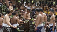 Masyarakat Bali di Desa adat Tenganan, Kabupaten Karangasem, Bali punya ritual Mekare-kare atau Perang Pandan. Meski bukan perang sebenarnya, ada juga wisatawan yang berdarah karena duri daun pandan.  