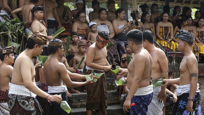 Aksi Berani Pria di Bali Ikut Perang Pandan Berduri A man helps remove pandanus thorns from his friend wounds during ritual called 'Mekare-kare' pandanus war at Tenganan village in Bali, Indonesia on Wednesday, June 5, 2024. People of Tenganan village celebrate a month long ceremony called 'Usabha Sambah' to honour and respect the God Indra, the Hindu god of war. (AP Photo/Firdia Lisnawati)