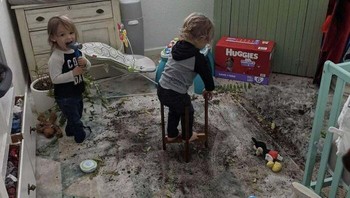 Berkebun di kamar... Foto: Boredpanda