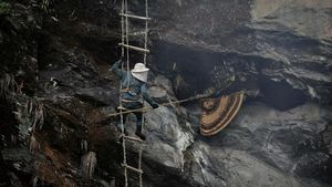 Berburu Madu Lebah Himalaya di Tebing Jurang