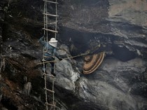 Berburu Madu Lebah Himalaya di Tebing Jurang
