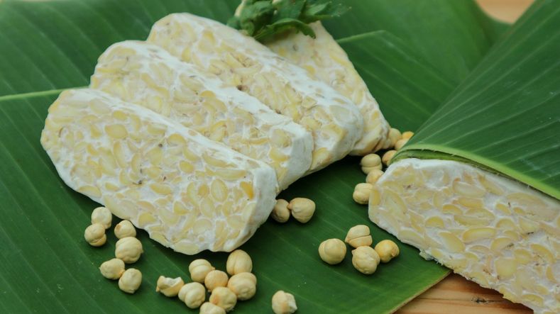 Mari Menempе! Ada Laci Khusus untuk Simpan Ragi Tempe Asli Indonesia