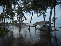Waspada! Sejumlah Wilayah Ini Diprediksi Terkena Banjir Rob Menurut BMKG