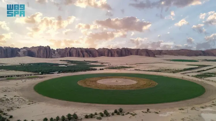 Kawasan Al Ula, Arab Saudi