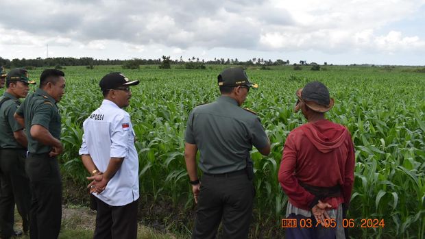 Kodim Banyuwangi menanam jagung