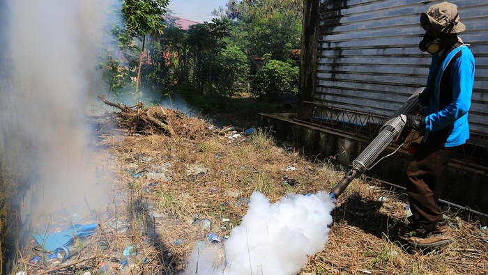 Petugas Dinas Kesehatan melakukan pengasapan (fogging) guna membasmi nyamuk Aedes Aegypti di perkarangan kantor Bupati Aceh Barat, Aceh, Kamis (6/6/2024). Pengasapan tersebut dilakukan sebagai upaya mencegah penyebaran wabah Demam Berdarah Dengue (DBD) di daerah tersebut, berdasarkan data dinas kesehatan kabupaten setempat sejak Januari-Mei 2024 terdapat 11 kasus DBD yang sebagian besar menyerang anak-anak. ANTARA FOTO/Syifa Yulinnas/Spt.