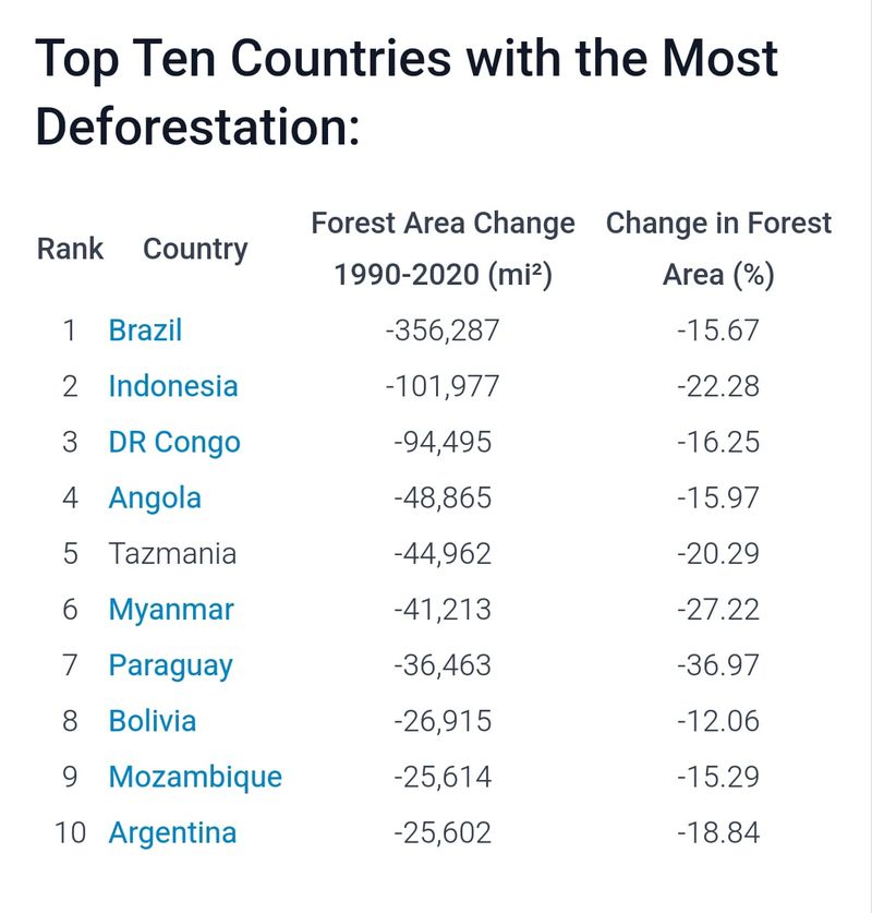 Peringkat Deforestasi Terparah di Dunia, Indonesia Nomor Dua