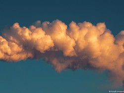 Tingkat CO2 Capai Rekor Baru, Bumi Makin Membara