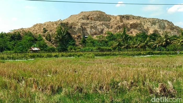 Salah satu bukit di wilayah Seyegan yang dikepras dengan alat berat, Kamis (6/6/2024).
