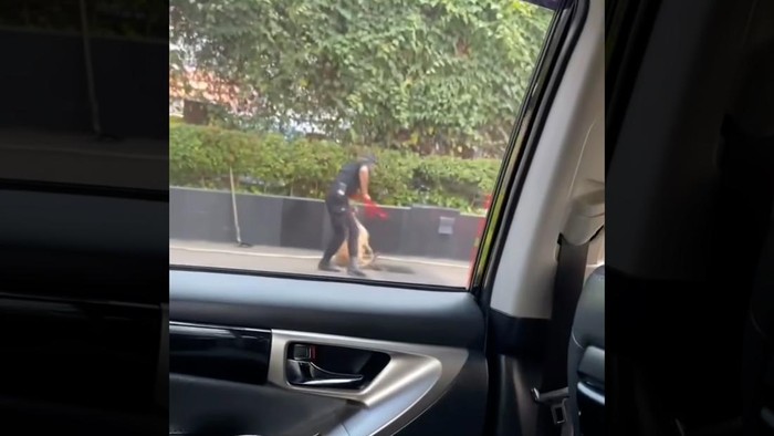 Viral video seorang sekuriti memukul anjing di sekitar mal Plaza Indonesia. Pihak manajemen Plaza Indonesia mengunggah permintaan maaf di akun Instagram resminya.