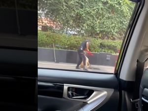 Sesal Robby Purba dan Marlene Hariman soal Video Sekuriti Pukul Anjing