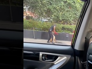 Plaza Indonesia Ungkap Kondisi Fay Anjing Pelacak yang Dianiaya Sekuriti