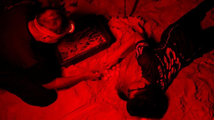 A turtle ranger checks on newly hatched hatchlings kept at a nursery of a turtle conservation center until their release into the South China Sea during nighttime to reduce the risk of being eaten by predators at a turtle conservation center on Redang Island, Malaysia on May 22, 2024. REUTERS/Hasnoor Hussain