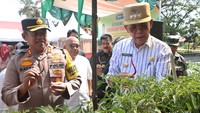 Penjabat Wali Kota Banda Aceh Amiruddin melihat tanaman cabai yang dikembangkan kelompok tani wanita usai meresmikan gerakan tanam cabai di Kantor Dinas Pangan, Pertanian, Kelautan dan Perikanan (DP2KP) Kota Banda Aceh, Aceh, Jumat (7/6/2024).