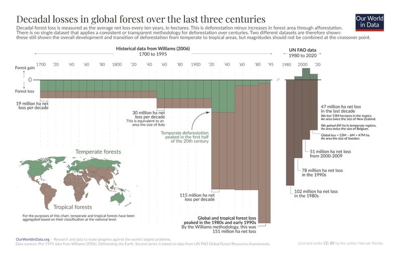 Deforestasi global