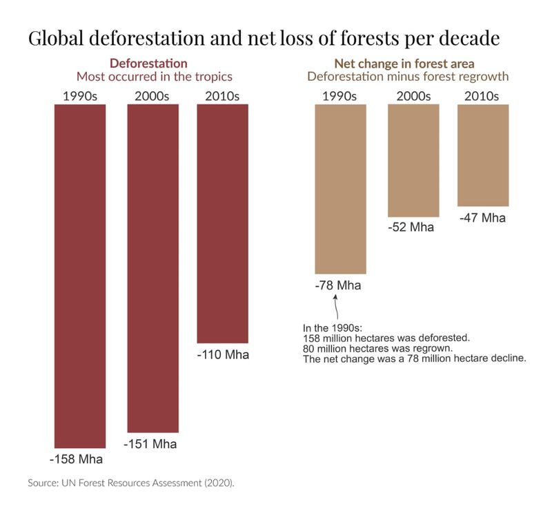 Deforestasi global
