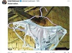 Meme Asian Value, Menggelitik Bikin Ngikik