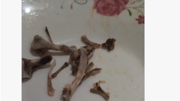 Siapa yang sering makan ayam tulangnya bersih... Foto: Twitter