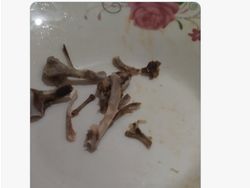 Meme Asian Value, Menggelitik Bikin Ngikik