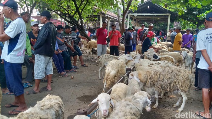 Suasana Pasar hewan Plembon, Klaten Utara.