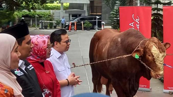 Satu ekor sapi seberat 1,2 ton diserahkan ke Baznas. Penyerahan sapi ini merupakan bagian dari program Idul Adha.
