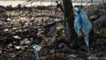 Potret Sampah Plastik Penuhi Pantai Cilincing
