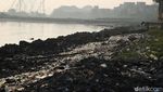 Potret Sampah Plastik Penuhi Pantai Cilincing