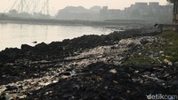 Oleh karena itu setiap laut pasang sampah plastik pasti akan terbawa hingga ke pesisir Cilincing.