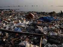 Potret Sampah Plastik Penuhi Pantai Cilincing