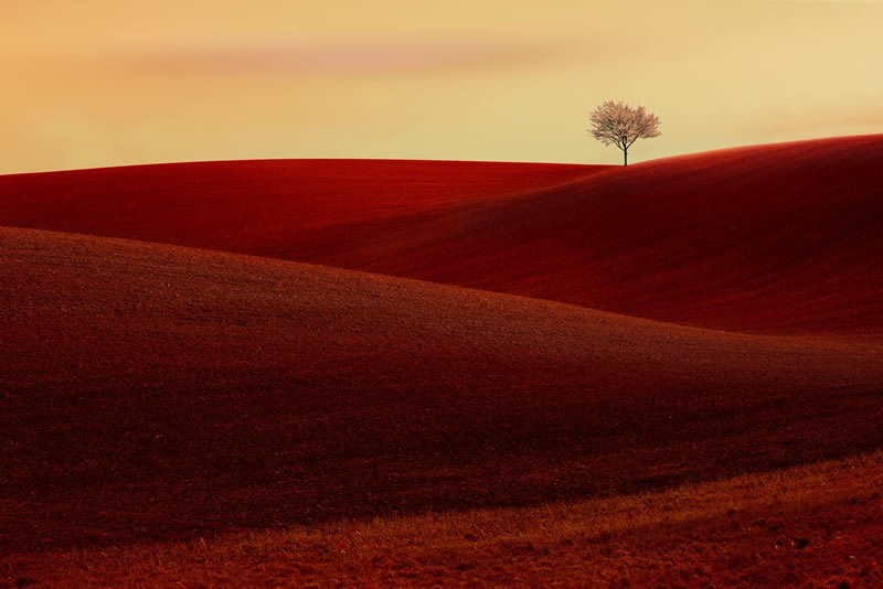reFocus Color Photography Awards 2024