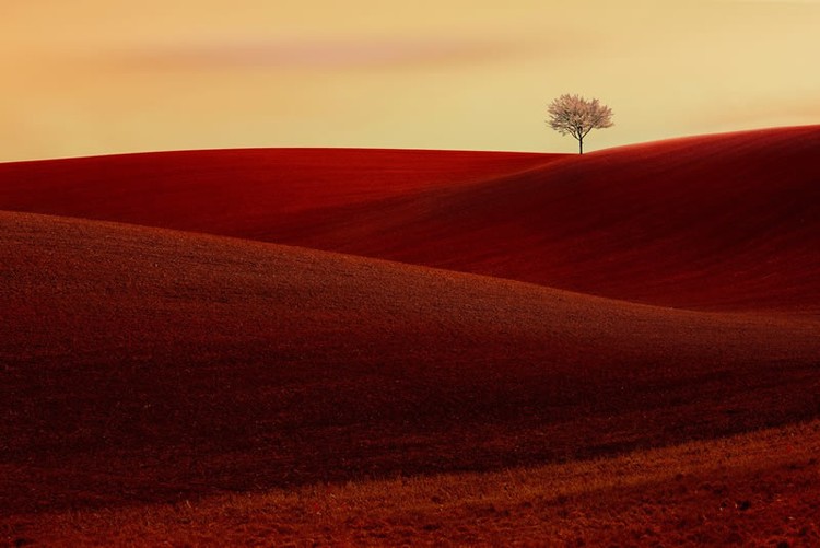reFocus Color Photography Awards 2024 reFocus Color Photography Awards 2024