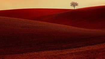 Karya Zdeněk Vošický. Foto: reFocus Color Photography Awards