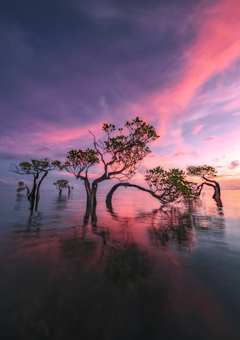reFocus Color Photography Awards 2024
