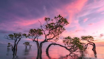 Karya Gary Bhaztara. Bisa menebak di mana lokasinya? Ya ini pemandangan indah di pulau Sumba. Foto: reFocus Color Photography Awards