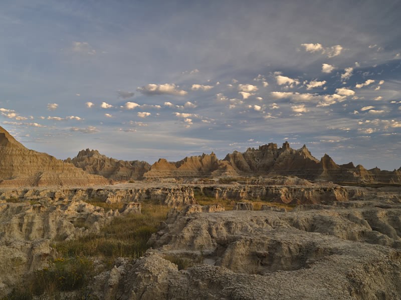 reFocus Color Photography Awards 2024