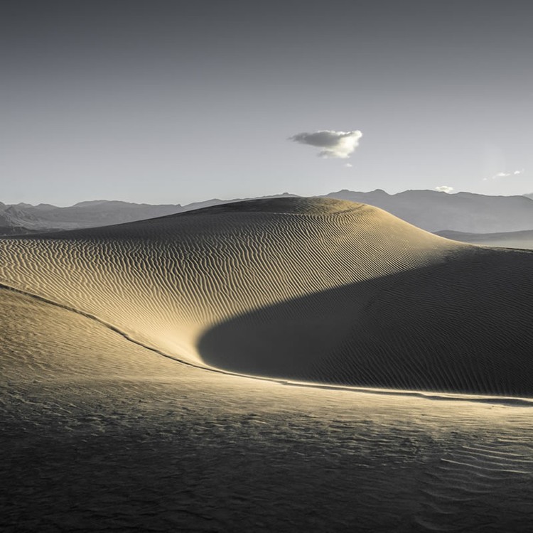 reFocus Color Photography Awards 2024 reFocus Color Photography Awards 2024