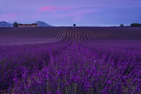 reFocus Color Photography Awards 2024