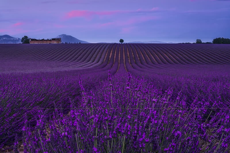 reFocus Color Photography Awards 2024