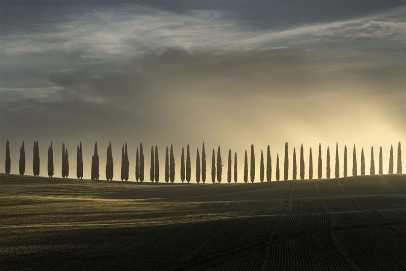 reFocus Color Photography Awards 2024